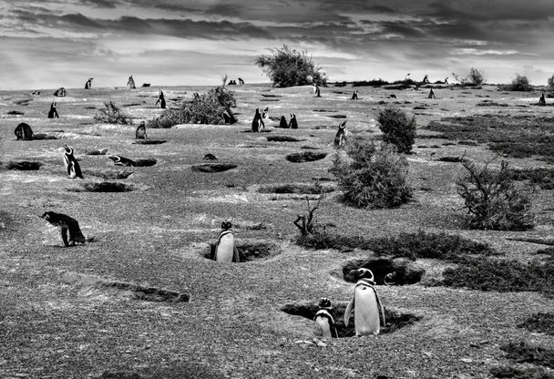 Sony World Photography 2016, tra i vincitori anche l'italiano Massari