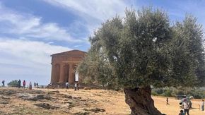 Quanta storia in un piatto: “La cucina è cultura”