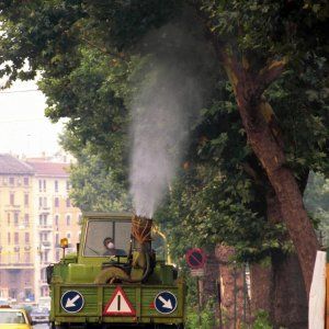 La Regione investe un milione e mezzo per sterminare le zanzare