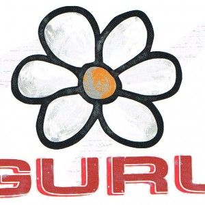 Gli indiani mollano Guru<br />Chiesto concordato preventivo