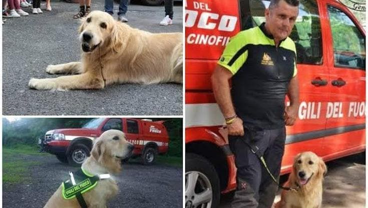 Addio a Zoe, cane soccorritore sotto le macerie del Ponte Morandi