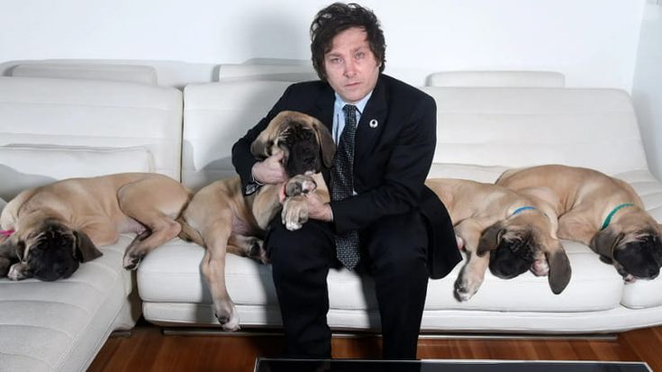 Argentina, Milei festeggia: con la legge omnibus avrà super poteri. Privatizzazioni e licenziamenti più facili