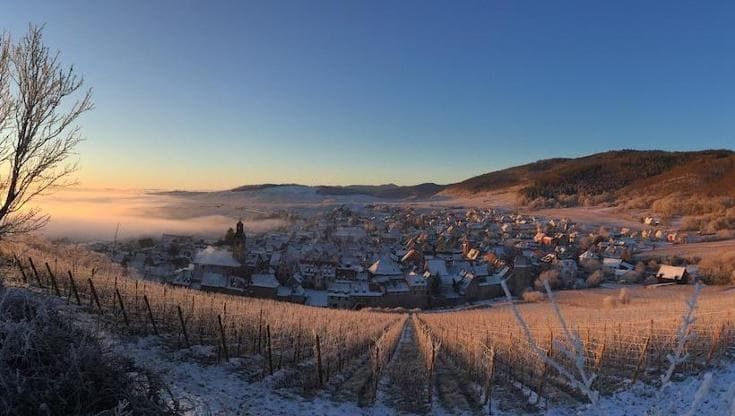 Dai Crémant ai Riesling, Italia sedotta dai vini alsaziani