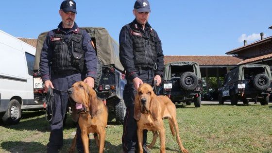 Gandolf e Druido, cacciatori di sangue: chi sono i "cani molecolari" che inseguono Igor