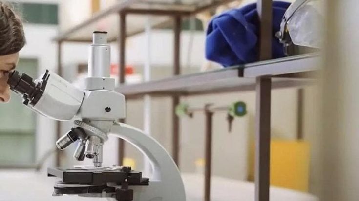 Tassa per riconoscere il dottorato all’estero. Beffati i ricercatori
