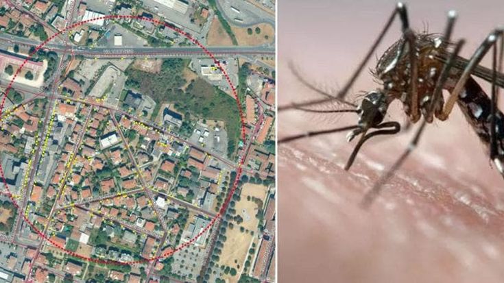 Virus Zika a Brescia, scattano le disinfestazioni per un possibile caso di infezione