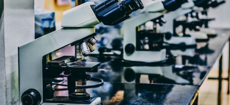 CAR-T, dal Governo 60 milioni di euro per la produzione delle terapie contro il cancro