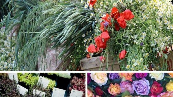 Da Tabiano a Busseto passando per Colorno, torna la stagione dei fiori 