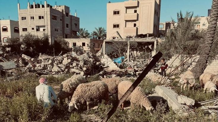 Gaza, la sfida dell’Eid al-Adha: senza case, cibo e gioia, così difendiamo la tradizione della festa del sacrificio
