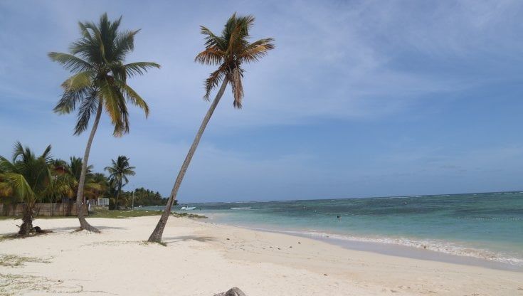 Guadalupa, un bicchiere di rum per andare alla scoperta dell’isola farfalla 