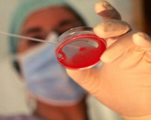 Nella Biopolis asiatica dove un mega laboratorio con tecnologia italiana lavora sulle cellule fetali