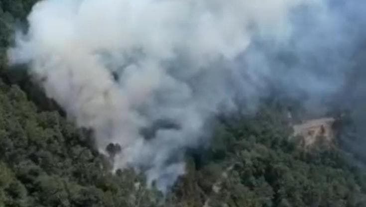 Pisa, incendio sul Monte Serra spento nel corso del pomeriggio