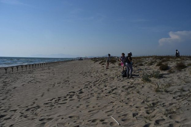 Via libera per le tartarughe in spiaggia, Castelvolturno diventa “Caretta caretta friendly”