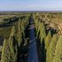 Consorzio Bolgheri scrive al ministro: “Preoccupati per l’impatto del progetto eolico sulle vigne”