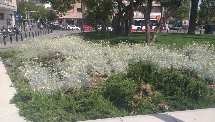 Riviera di Chiaia, aiuole senza acqua: "Non possiamo più tenerle in ordine"
