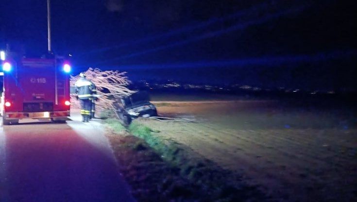 Forte vento sul Piemonte, una ferita vicino al grattacielo della Regione. Auto colpita da albero a Carmagnola