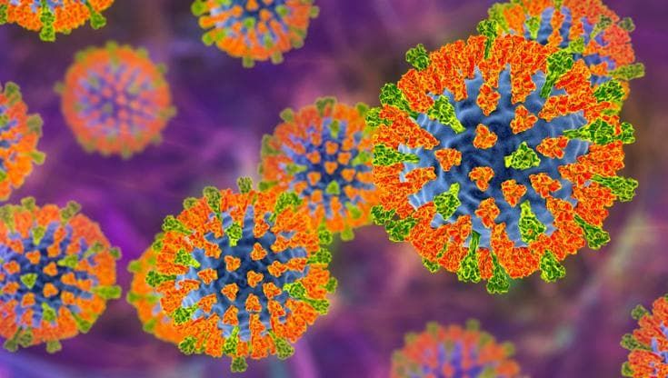Morbillo, contagiato candidato del concorso per magistratura a Roma. Sintomi e cosa fare