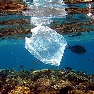 Unicoop Firenze dichiara guerra alla plastica in mare
