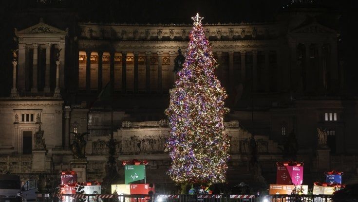 Da Spelacchio all'abete 'fuorisede': trent'anni di polemiche sull'albero di Natale in piazza
