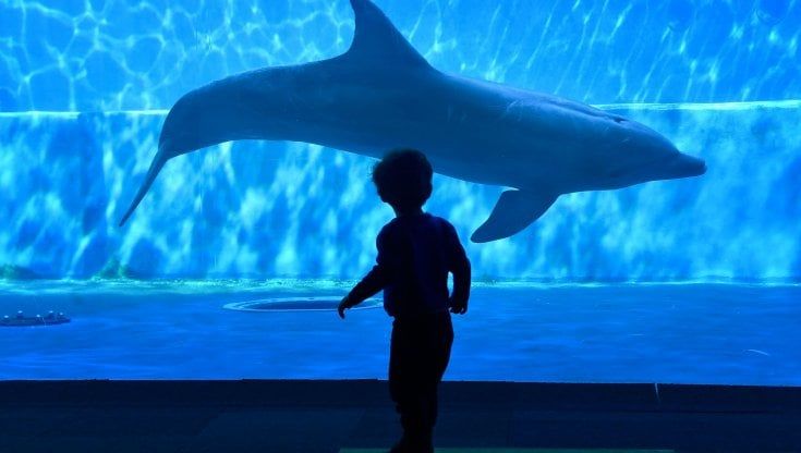 Turismo, per l'emergenza Covid nel 2020 bruciati in Liguria 752 milioni
