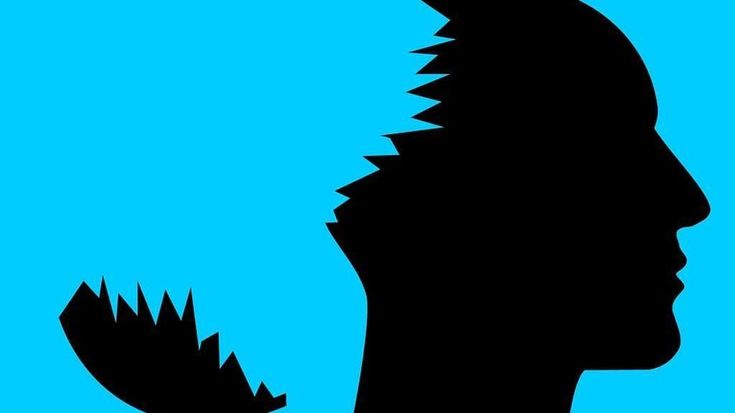 Una molecola nell’intestino degli squali nuova speranza nella lotta all’Alzheimer