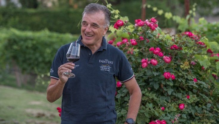 Vino, la sfida di Fantini Group: crescere anche in un momento complesso