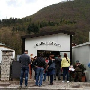 Marche, dopo il terremoto -500 imprese e 1500 posti di lavoro persi