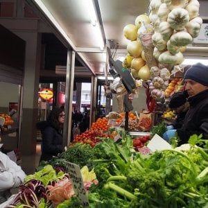 Coronavirus, l'allarme di Coldiretti: "Con frontiere chiuse in Ue manca un milione di stagionali"