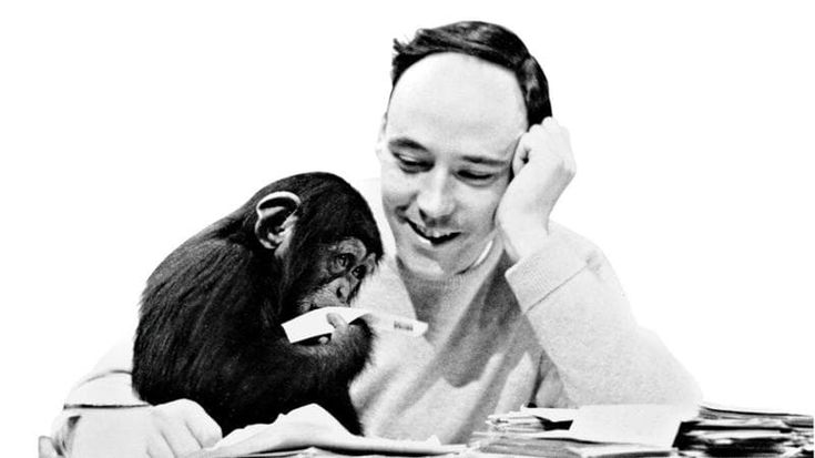 Addio Morris, gridò che la scimmia è nuda