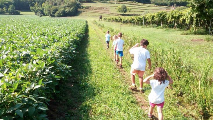 Negli asili alternativi presi d’assalto dai no vax. “Qui nessuno si ammala”