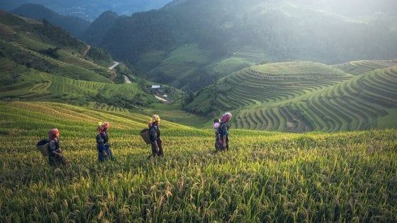 Vietnam visto con la mente