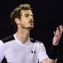 Tennis, Australian Open: Murray vince la battaglia con Raonic, finale contro Djokovic