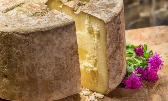 Castelmagno: una dop ricercata, ma ancora poco conosciuta