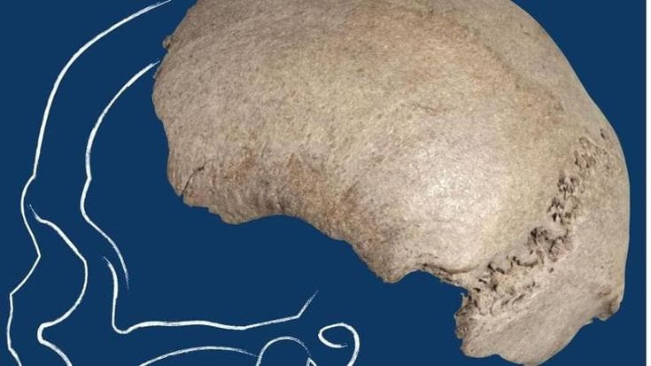 La magra del Po porta alla luce il cranio di un homo sapiens