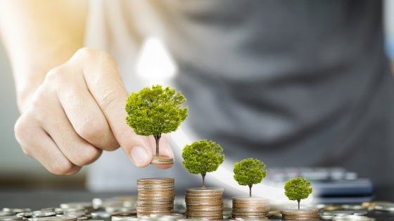 Bos (NN Investment Partners): "Il Btp verde pietra miliare per il mercato dei green bond"