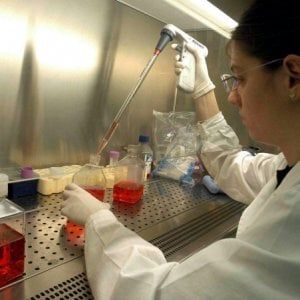 Tumori: ricercatori palermitani partecipano a scoperta di un nuovo chemioterapico