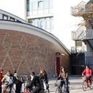 Treviso, "C'è troppo smog" e il preside vieta in 7 scuole la ricreazione in cortile