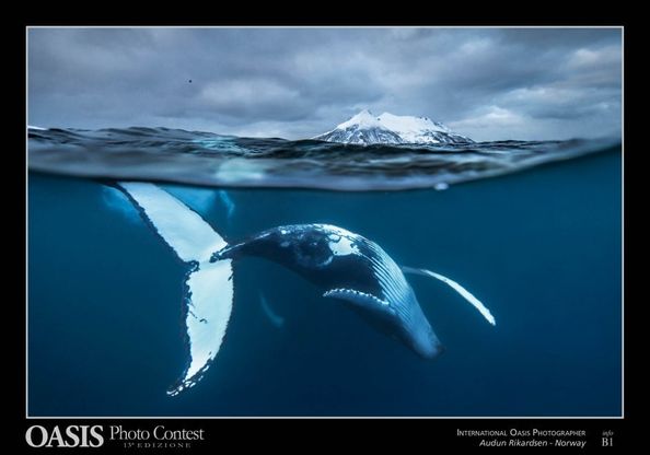 Oasis Photocontest, tutti i premiati della 13esima edizione