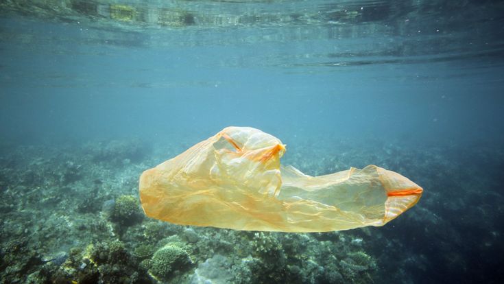 Rivoluzione verde: mai più frutta e verdura nei sacchetti di plastica