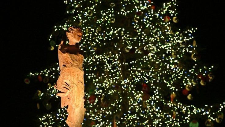 Il riciclo dell'abete: lo compri a 20 euro, dopo le Feste restituisci l'albero e ricevi indietro 10 euro