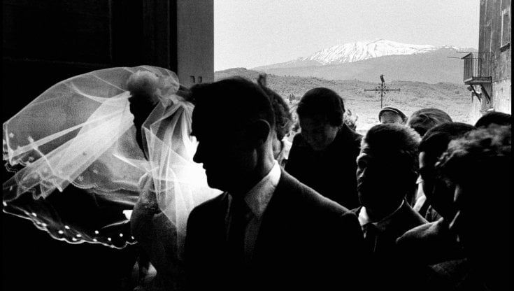 Storia di Oliva che volle essere libera, il romanzo di Viola Ardone