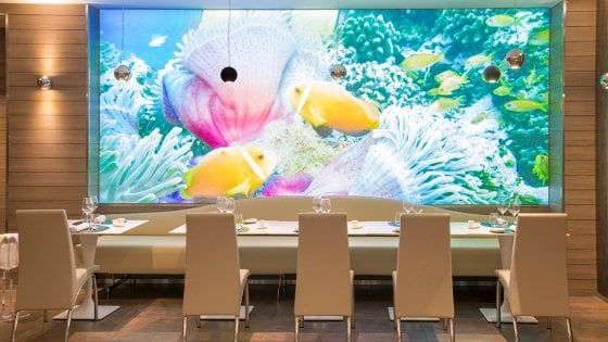 Roma a tavola: la scommessa del pesce tra Eur e Laurentina
