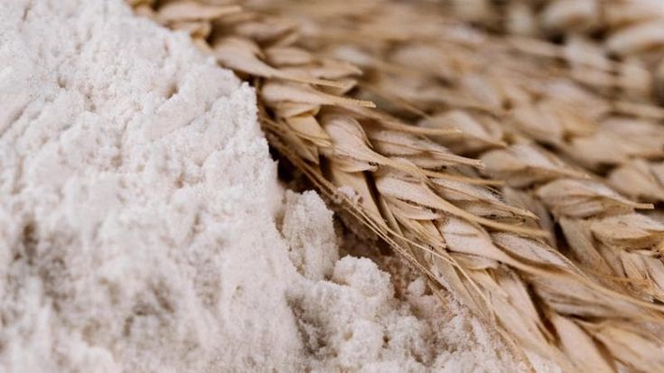 Farine fortificate, la chiave per il benessere individuale e ambientale