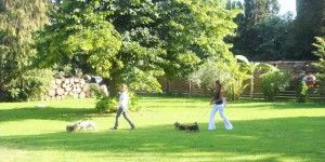 Lascia le chiavi alla dogsitter<br />e si trova la casa svaligiata