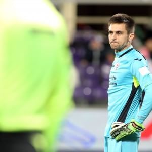 Fiorentina, problema portiere: Tatarusanu va ko, torna Neto
