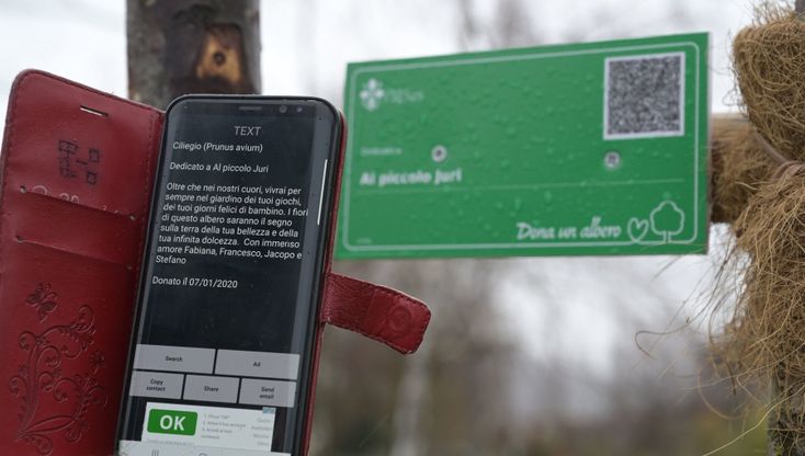 Firenze, viaggio tra gli alberi dedicati nei parchi cittadini 
