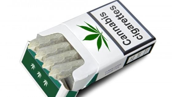 Le mani di Big Tobacco sulla marijuana legale, l'ultimo colpo grosso dei giganti della sigaretta