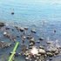 Terme e fanghi tra Ischia e le Cicladi