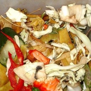 Cibo sprecato, buttiamo nella spazzatura 30 euro degli 80 di bonus
