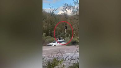 Arizona, intrappolati sul tetto del Suv dopo un'alluvione lampo: il salvataggio con l'elicottero